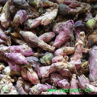 款冬花 款冬花净货 产地 甘肃省 国药堂 专注品质图2