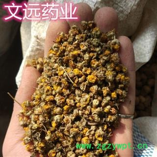 野菊花 精选 颗粒 产地 河南省南阳市方城县图4