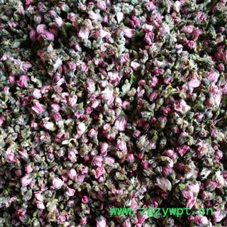 桃花 家种桃花选货 产地 山东省图2