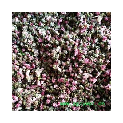 桃花 家种桃花选货 产地 山东省