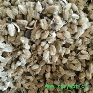 辛夷花 辛夷大桃统货 产地 河南省图2