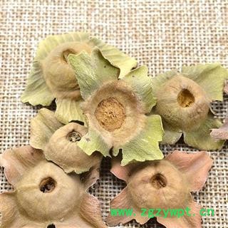 吉康药业柿蒂 柿钱 柿丁 柿子把图2