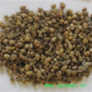 吉康药业 中药材野菊花今年新货图2