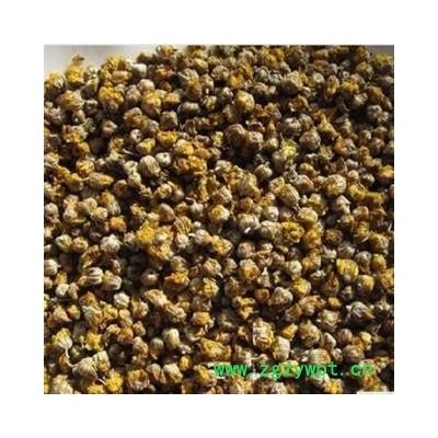 吉康药业 中药材野菊花今年新货