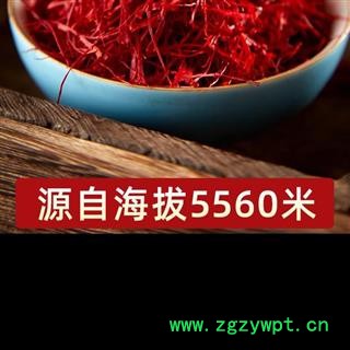 西藏藏红花红花正品红花伊朗正宗西红花泡水喝西藏图2