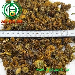 【满包邮】旋覆花制货统货散装山东产地直供制旋复花沁信源中药批发图2