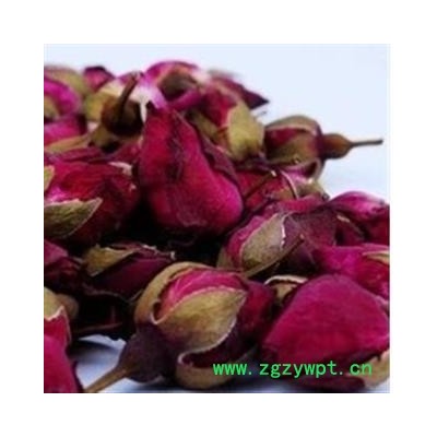 月季花 月季花大朵统货 产地 河南省