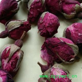 月季花 月季花大朵统货 产地 河南省图2