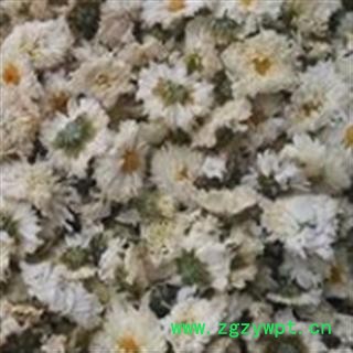 菊花 太阳菊 产地 安徽省图2