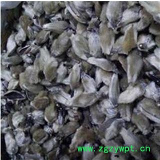 辛夷 辛夷花  低价出售 产地 河南省图2