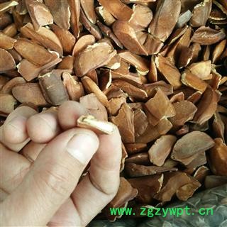 向天果 精选 产地 海外图2