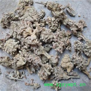 密蒙花 密蒙花统货 产地 四川省图2