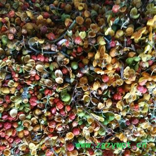 合欢花 茶用选货 产地 山东省图2