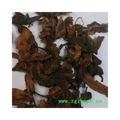 吉康药业鸡蛋花 缅栀子 蛋黄花 擂捶花 鸭脚木 大季花 番缅花 蕃花 善花仔