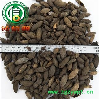 【满包邮】母丁香统货散装广西产地直供鸡舌香 亭炅独生 雌丁香沁信源中药材批发图2