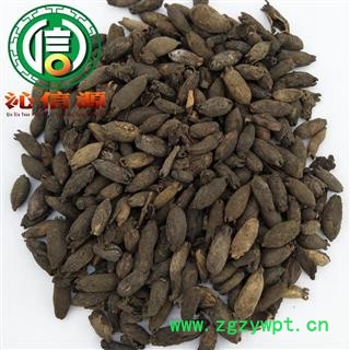 【满包邮】母丁香统货散装广西产地直供鸡舌香 亭炅独生 雌丁香沁信源中药材批发图4