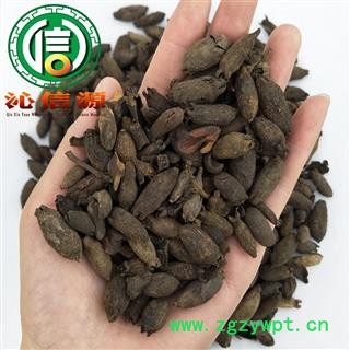 【满包邮】母丁香统货散装广西产地直供鸡舌香 亭炅独生 雌丁香沁信源中药材批发图3