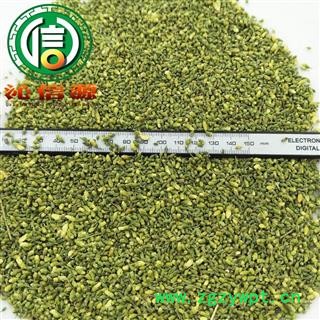 【满包邮】槐花米选货散装山东产地直供槐米沁信源中药批发图2