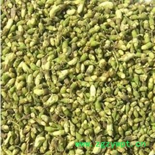 槐花 槐米 正品 选装 产地 河南省南阳市宛城区图3