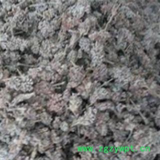 密蒙花 统 产地 四川省图2