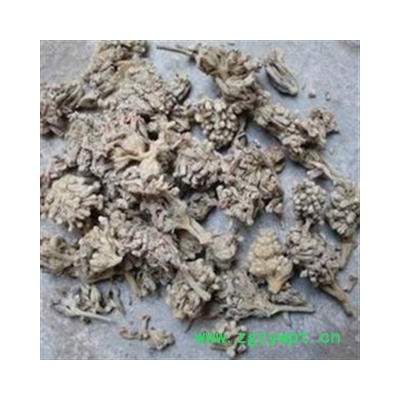 密蒙花 统 产地 四川省