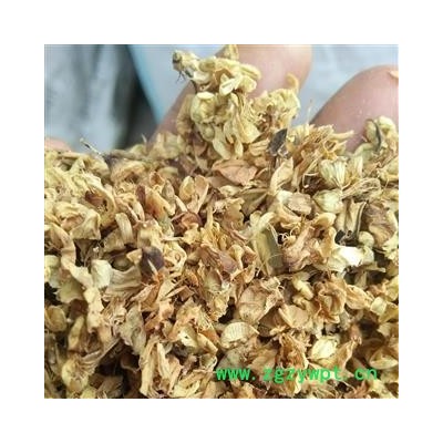 槐花 精选国槐。家槐 产地 河南省平顶山市汝州市