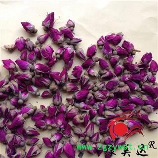 玫瑰花 甘肃玫瑰 苦水蓓蕾 苦水玫瑰  选 产地 甘肃省图2