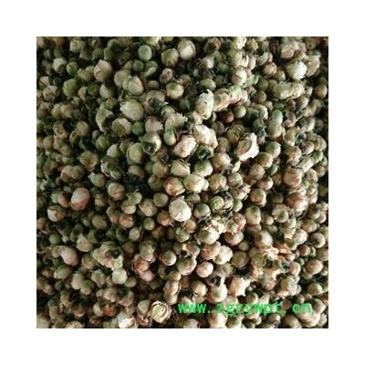 山茶花 一级优质选货 产地 重庆市