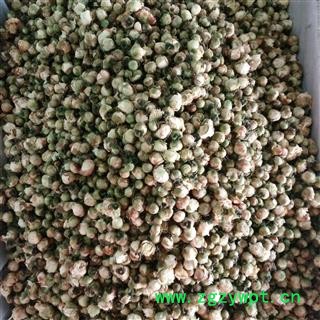 山茶花 一级优质选货 产地 重庆市图2