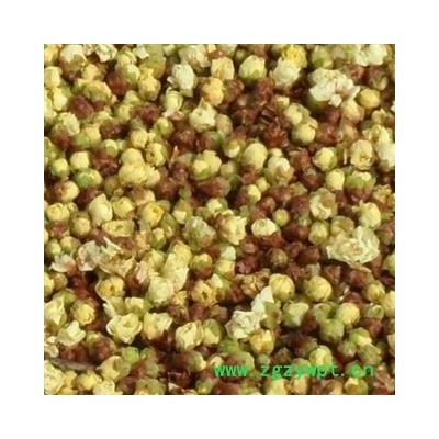 绿梅花 统货 产地 山西省