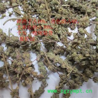 荆芥穗 统 产地 安徽图2