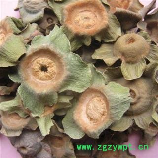 柿蒂 统 产地 山西省阳泉市郊区图2