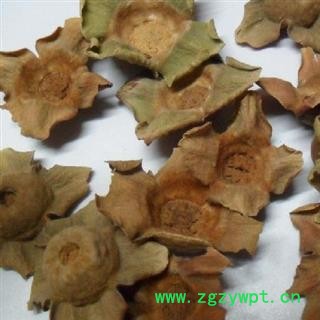 柿蒂 统 产地 山西省阳泉市郊区图3