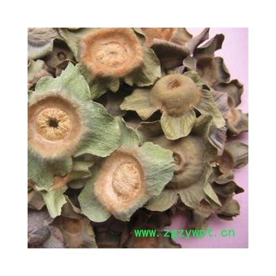 柿蒂 统 产地 山西省阳泉市郊区