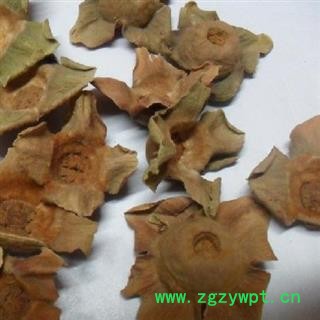 柿蒂 统 产地 山西省阳泉市郊区图4