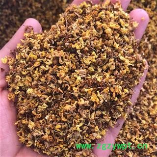 桂花 桂花 产地 安徽省 买好药找娟子图2