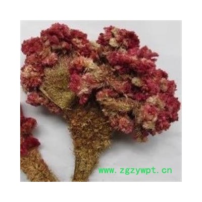 吉康药业鸡冠花 新货 无污染