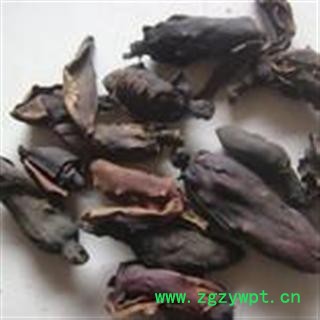 吉康药业  厚朴花颜色好新货图2