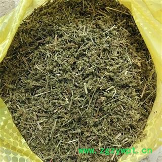 荆芥穗 荆芥穗次统货 切片 产地 河南省图3