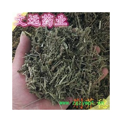 荆芥穗 荆芥穗次统货 切片 产地 河南省
