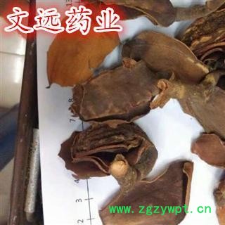 厚朴花 选装 川朴花 产地 四川省自贡市市辖区图2