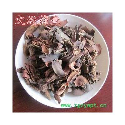 厚朴花 选装 川朴花 产地 四川省自贡市市辖区