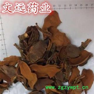 厚朴花 选装 川朴花 产地 四川省自贡市市辖区图3