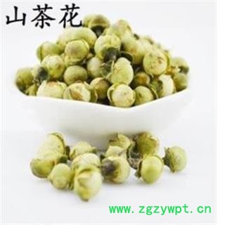 山茶花 选 产地 湖北省图2