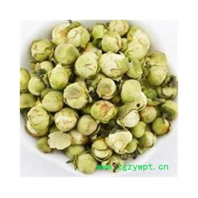 山茶花 选 产地 湖北省