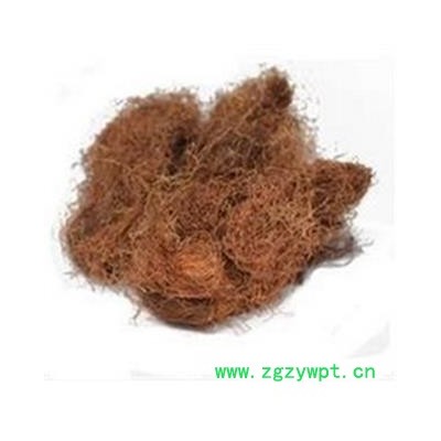 玉米须 玉米须统货 产地 安徽省