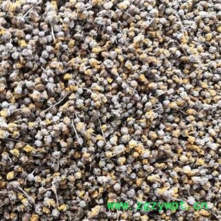 野菊花 新品颗粒货 产地 河南省平顶山市汝州市图3