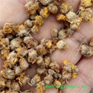 野菊花 新品颗粒货 产地 河南省平顶山市汝州市图4