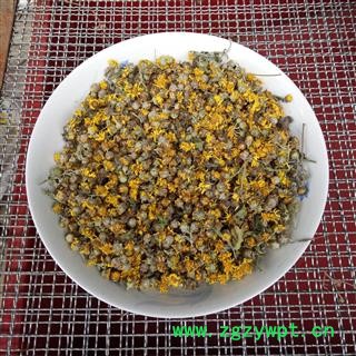 野菊花 新品颗粒货 产地 河南省平顶山市汝州市图2