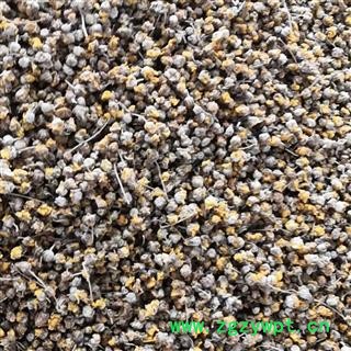 野菊花 过筛过风机颗粒货 产地 河南省平顶山市汝州市图3